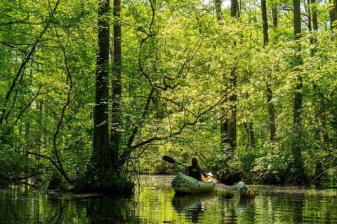 Small-Group Kayaking Experience In Sydney - Attractions Melbourne 3