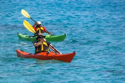 Small-Group Kayaking Experience In Sydney - Attractions Melbourne 0