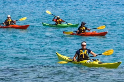 Small-Group Kayaking Experience In Sydney - Attractions Melbourne 6