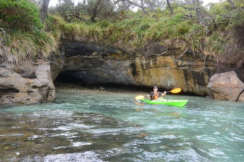 Half-Day Jervis Bay Sea Kayak Tour - Attractions Melbourne 8