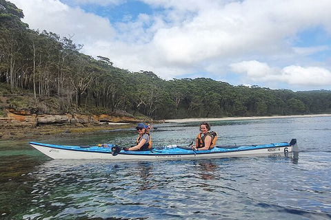 Half-Day Jervis Bay Sea Kayak Tour - Attractions Melbourne 6