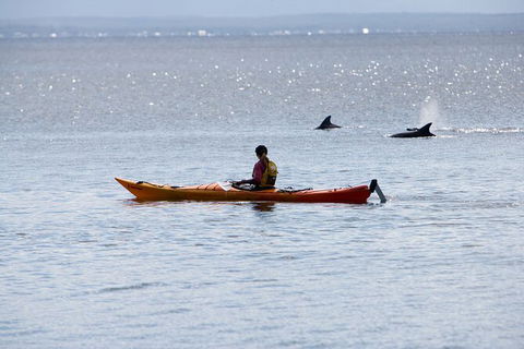 Half-Day Jervis Bay Sea Kayak Tour - Attractions Melbourne 4