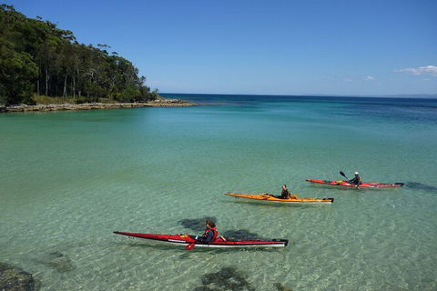 Half-Day Jervis Bay Sea Kayak Tour - Attractions Melbourne 3