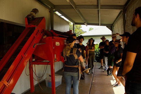 Pecan Farm Tour And Workshop, Byron Bay Hinterland - Attractions Melbourne 4