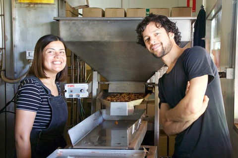 Pecan Farm Tour And Workshop, Byron Bay Hinterland - Attractions Melbourne 7
