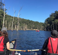 Canoes Cool Climate Wines  Canaps - Kangaroo Valley - Attractions Melbourne