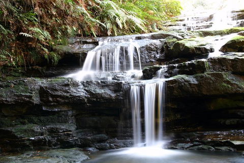 Private 10-hour Tour To Blue Mountains From Sydney - Hotel Pick Up & Drop Off - Attractions Melbourne 6