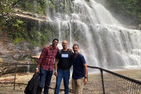 Blue Mountains Highlights & Wildlife Park - Attractions Melbourne 4