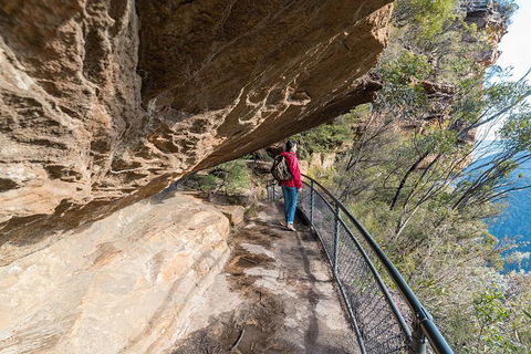 Blue Mountains Highlights & Wildlife Park - Attractions Melbourne 0