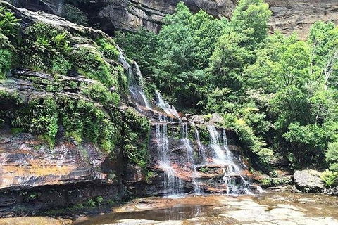 Blue Mountains Highlights & Wildlife Park - Attractions Melbourne 8