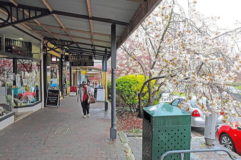 Blue Mountains Highlights, Wildlife Park And Scenic World Full Day Private Tour - Attractions Melbourne 2