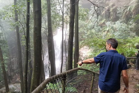 Blue Mountains Highlights, Wildlife Park And Scenic World Full Day Private Tour - Attractions Melbourne 6