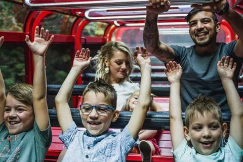 Blue Mountains Highlights, Wildlife Park And Scenic World Full Day Private Tour - Attractions Melbourne 5