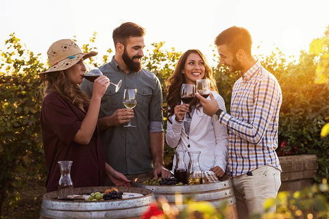 Hunter Valley Highlights Private Wine Tour From Sydney - Attractions Melbourne 0