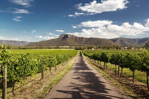 Hunter Valley Highlights Private Wine Tour From Sydney - Attractions Melbourne 2