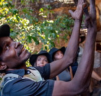 Arnhem Land Injalak Hill Full-Day Tour from Jabiru - Attractions Melbourne