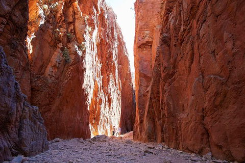 Best Of Alice Springs Full Day Tour - Attractions Melbourne 6