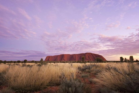 Explore Uluru: 7 Hours Guide Tour At Sunrise With Light Breakfast - Attractions Melbourne 4