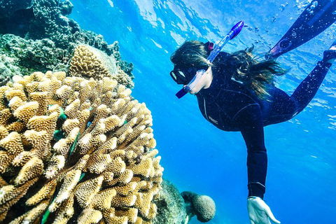 Green Island Day Trip From Cairns - Attractions Melbourne 5