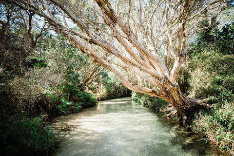 All-Inclusive Fraser Island Day Tour - Attractions Melbourne 5