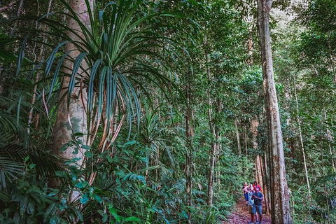 Atherton Tablelands Rain Forest By Night From Cairns - Attractions Melbourne 0