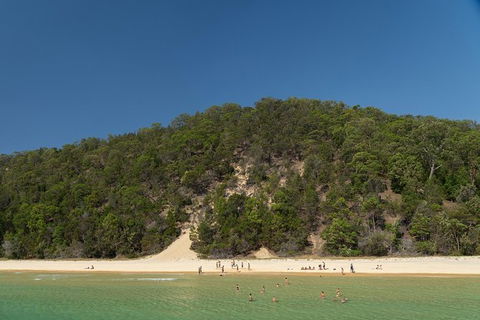 All Inclusive Dolphin And Tangalooma Wrecks Cruise - Attractions Melbourne 4