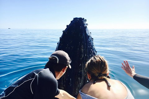 Remote Fraser Island Experience - Attractions Melbourne 12