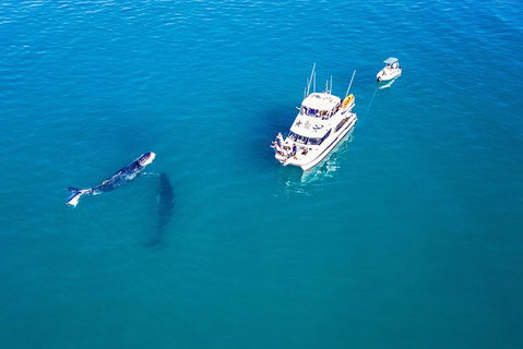 Remote Fraser Island Experience - Attractions Melbourne 11