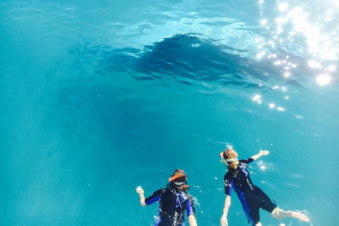 Remote Fraser Island Experience - Attractions Melbourne 10