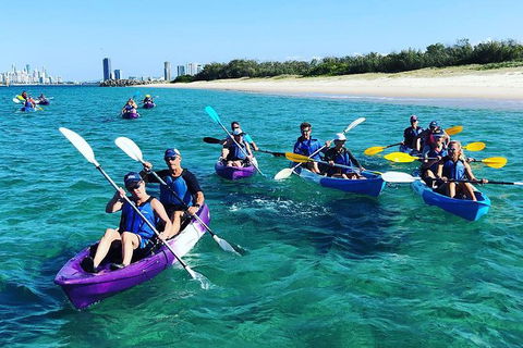 Half Day Dolphin Kayaking And Snorkeling Tour - Attractions Melbourne 11
