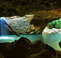 Springbrook and Mt Tamborine Adventure Tour - Bring the Kids - Attractions Melbourne