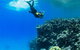 Full-Day Cruise Tour To Frankland Islands Great Barrier Reef - thumb 6