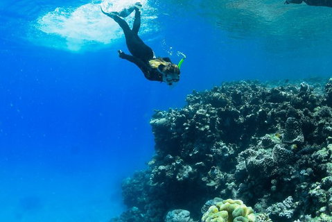 Full-Day Cruise Tour To Frankland Islands Great Barrier Reef - Attractions Melbourne 6