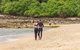 Full-Day Cruise Tour To Frankland Islands Great Barrier Reef - thumb 20