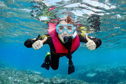 Full-Day Cruise Tour To Frankland Islands Great Barrier Reef - Attractions Melbourne 10