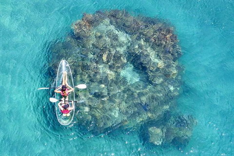 Full-Day Cruise Tour To Frankland Islands Great Barrier Reef - Attractions Melbourne 1