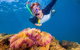 Full-Day Cruise Tour To Frankland Islands Great Barrier Reef - thumb 16