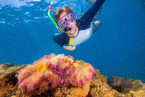 Full-Day Cruise Tour To Frankland Islands Great Barrier Reef - Attractions Melbourne 16