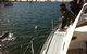 Gold Coast Sailing Cruise With Sparkling Wine & Nibbles Platter - thumb 3