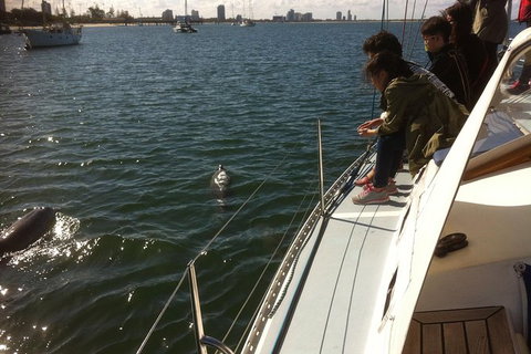 Gold Coast Sailing Cruise With Sparkling Wine & Nibbles Platter - Attractions Melbourne 3