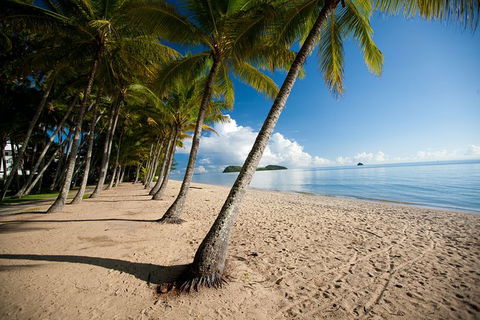 Cairns City Sights And Surrounds Tour - Attractions Melbourne 3