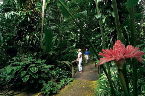 Cairns City Sights And Surrounds Tour - Attractions Melbourne 6