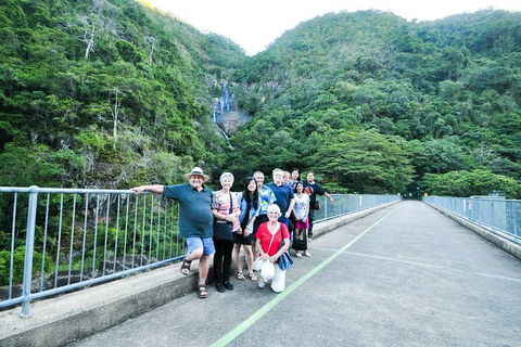 Cairns City Sights And Surrounds Tour - Attractions Melbourne 11