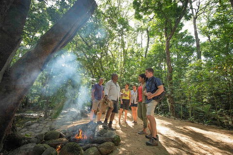 Aboriginal Cultural Daintree Rainforest Tour From Cairns Or Port Douglas - Attractions Melbourne 3