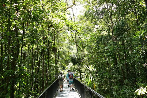 Aboriginal Cultural Daintree Rainforest Tour From Cairns Or Port Douglas - Attractions Melbourne 4