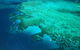30-Minute Great Barrier Reef Scenic Flight From Cairns - thumb 3