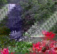 The Original Day Tour to Paronella Park Lake Barrine and Millaa Millaa Falls - Attractions Melbourne