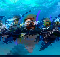 Great Barrier Reef Diving and Snorkeling Cruise from Cairns - Attractions Melbourne