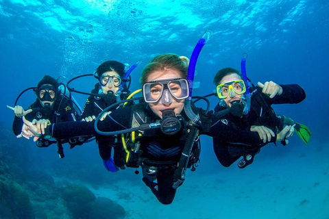 Great Barrier Reef Diving And Snorkeling Cruise From Cairns - Attractions Melbourne 0