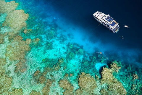 Great Barrier Reef Diving And Snorkeling Cruise From Cairns - Attractions Melbourne 4